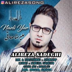 دانلود آهنگ علیرضا صادقی نازلی یار